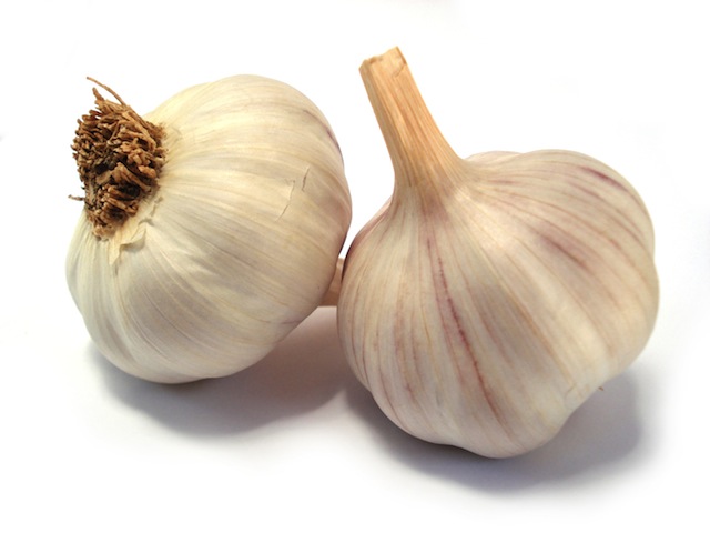 Garlic