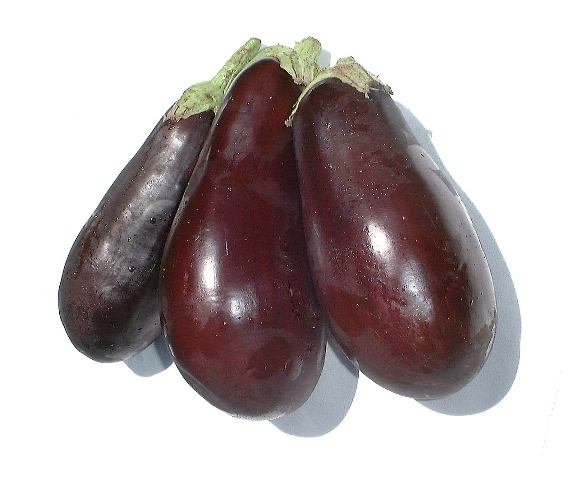 Eggplant