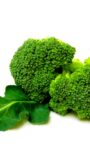 Buying and Storing Broccoli