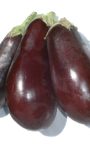 Buying and Storing Eggplant