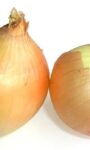 Buying and Storing Onions